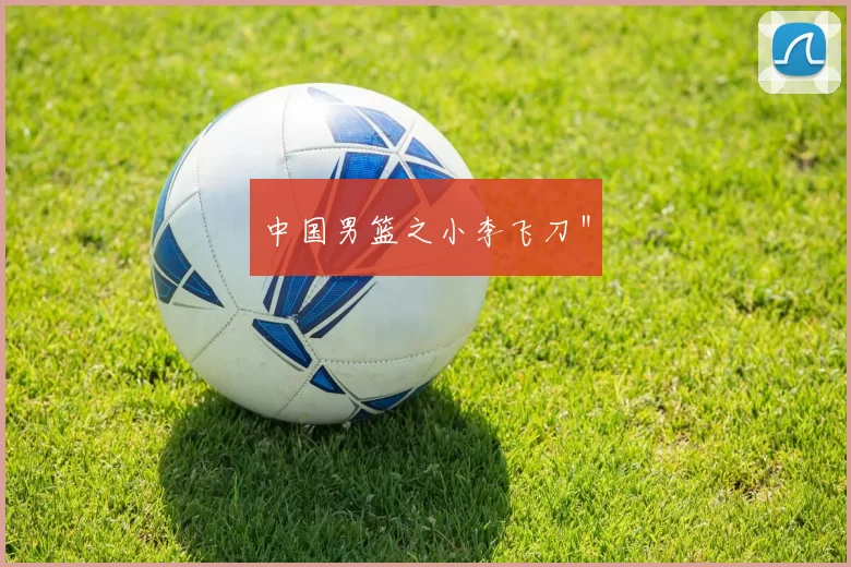 中国男篮之小李飞刀＂